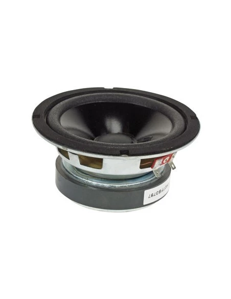 Haut-parleur professionnel 5' / 4 ohms