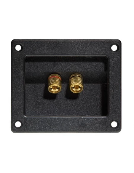 5 Bornier pour enceinte - carre - dore