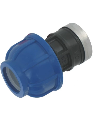 Droit femelle 32 26x34