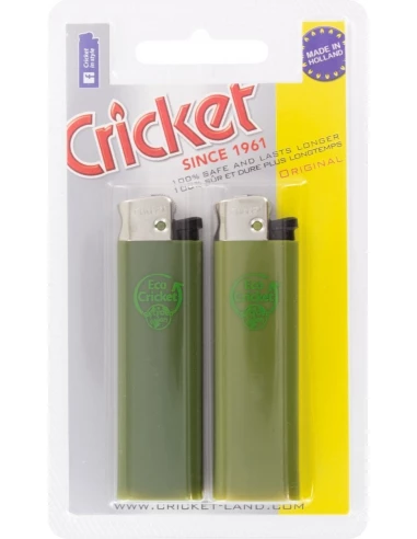 20 Briquet eco-cricket 2