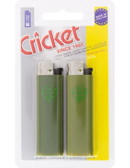 20 Briquet eco-cricket 2
