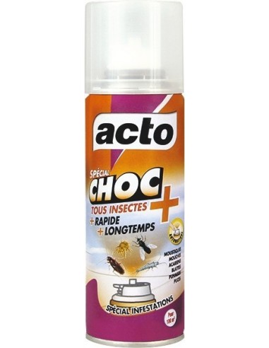 Aérosol choc tous insectes 100 Ml - ACTO