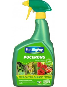 Insecticide puceron double action 800     