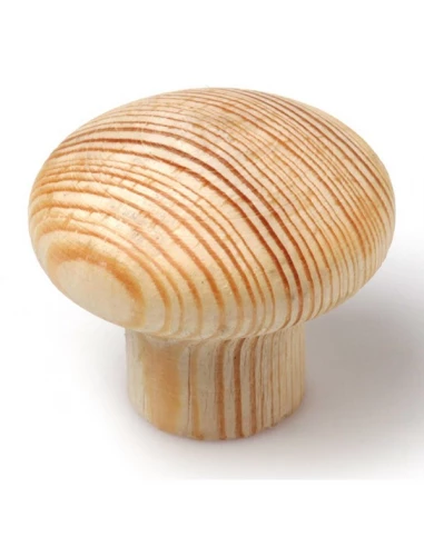 Boite 10 boutons bois d35 pin brut ref 7-255 97