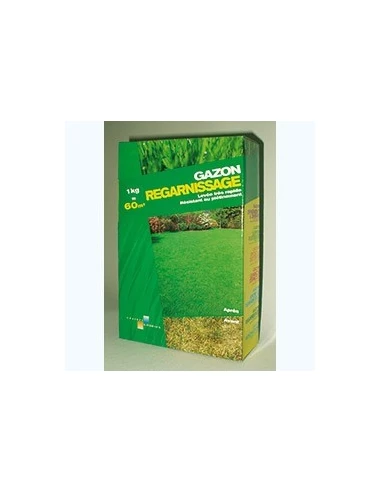 Gazon regarnissage boite 1 kg ref 124511