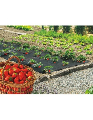 Film paillage fraises 1,40x10m ref 100050