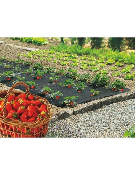 Film paillage fraises 1,40x10m ref 100050
