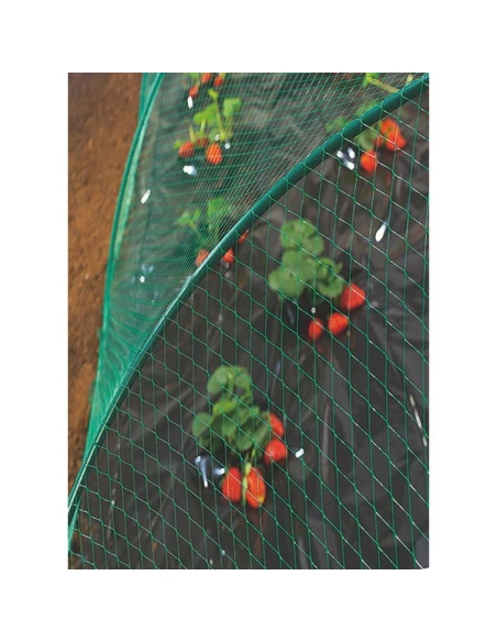 Filet de protection des oiseaux 2 x 5 m - ref 120005