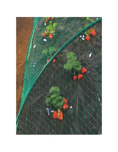 Filet de protection des oiseaux 2 x 10 m - ref 120010