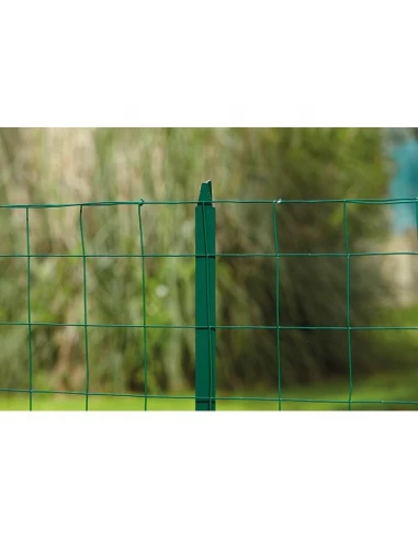 Grillage axial promo vert-1m00-20ml