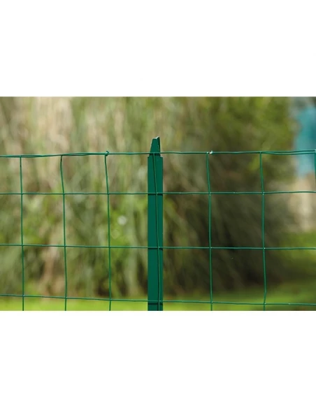 Grillage axial promo vert-1m00-20ml