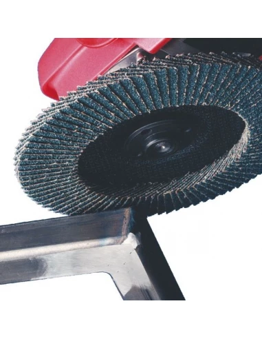 10 disque a lamelle rb48024 yx plate eb21 zirc d 125 al 22 mm grain 80