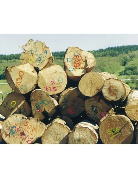 12 Traceur forestier fluo blanc