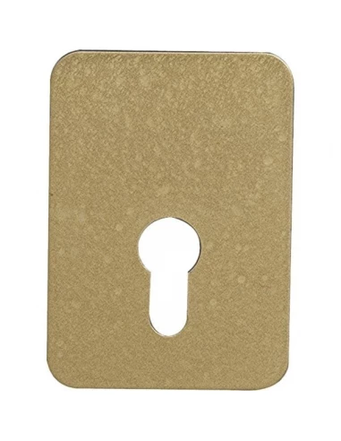 Plaque de renforcement arnov cylindre europeen brz or
