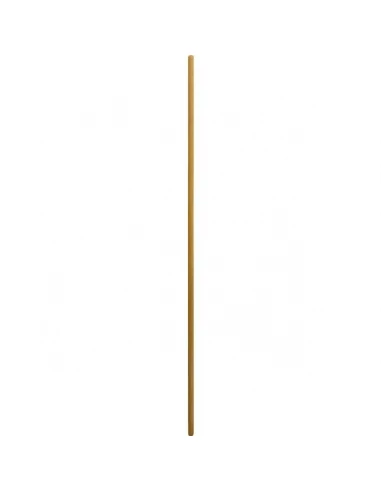 Manche de raclette diam 24 mmlg 1 50 m