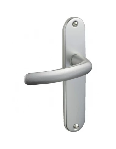 Poignée de porte sur plaque ARGENT- bec de canne - Budget - Vachette