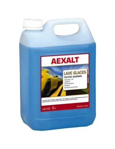 Lave glace hiver et toutes saisons - 20° bidon de 5 l