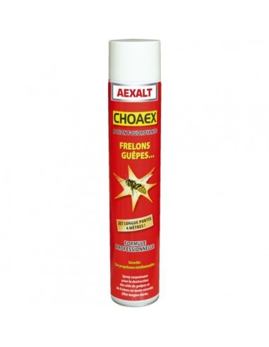 Spray Choaex Insecticide Anti-frelons 1000 Ml Portée 6 M - AEXALT