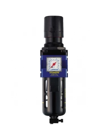 Filtre mano-regulateur diam 1-4''