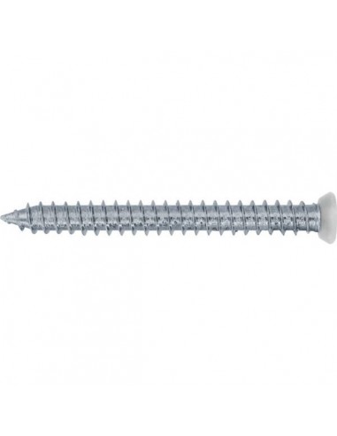 Vis auto taraudeuse who tf torx blanche 202 mm boite de 100