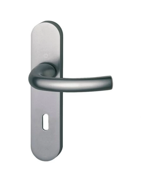 Ensemble de porte tokyo finition inox ea 165 - bec de cane