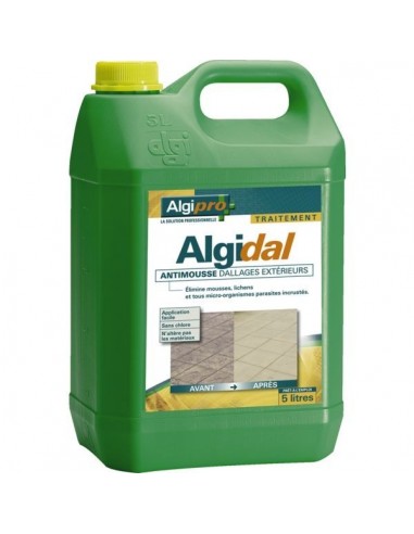 Algidal - elimine les mousses lichen sans chlore - bidon 5l