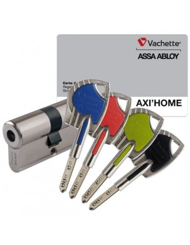 Cylindre profile axi'home a2pdouble 30 x 10 nickele avec 4cles coule