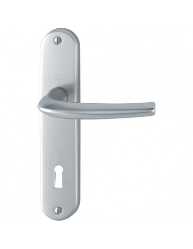 Poignee sur plaque diego 1191-347 finition f9010 blanc pur cle l