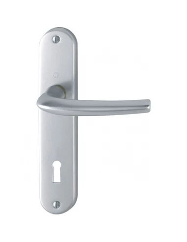 Poignee sur plaque diego 1191-347 champagne bec cane condamnation