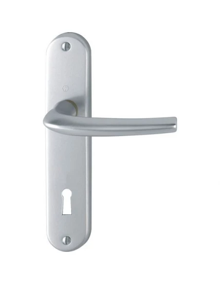 Poignee sur plaque diego 1191-347 f9010 blanc pur bec cane condamn