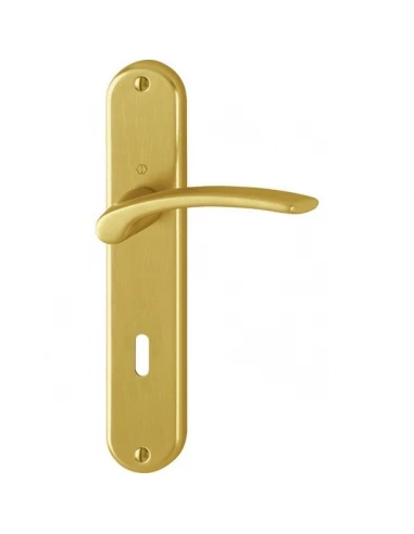 Poignee sur plaque ibiza 1171-3022p f 272 alu dore satine cle i