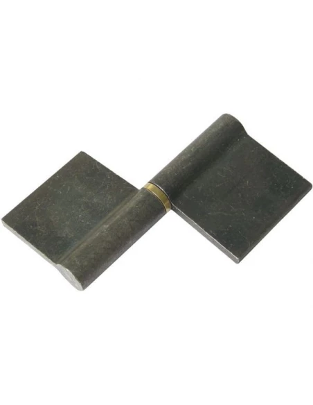 1 Paumelle de grille GO symetrique etire bleui en 80