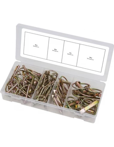 Assortiment de goupilles clips50 pcs