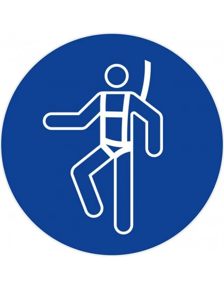 Disque obligation diam 300 402 port harnais obligatoire