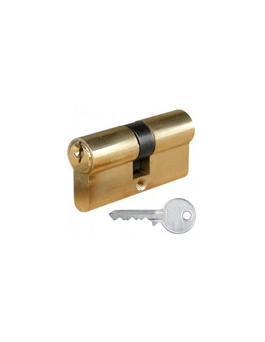 Cylindre suret europ 60mm-3cl sc616302