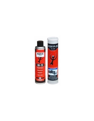 Aerosol graisse univer 520/300mlg30 72