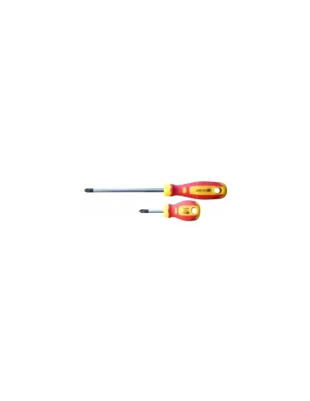 Tournev outif bi-mat pozi 1 s/plpz 1x100 s/plaq