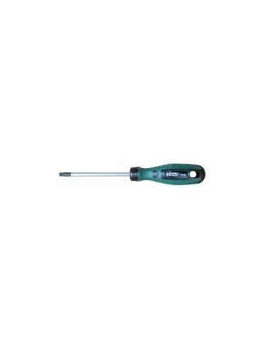 Tournevis Torx Tamper T27 100 Mm - OUTIFRANCE