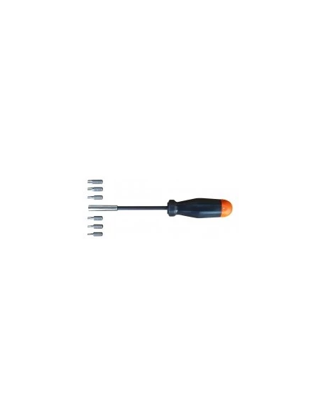 Tournevis + 6 embout torx percess/carte