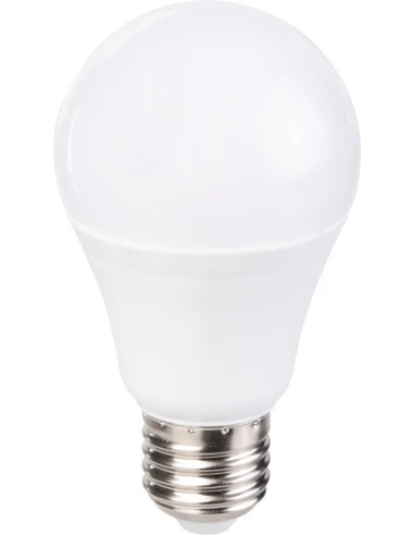 Ampoule LED standard E27 Dimension : O 67 x L. 136 mm - Puissance : 14 / 100 - Lumen : 1521