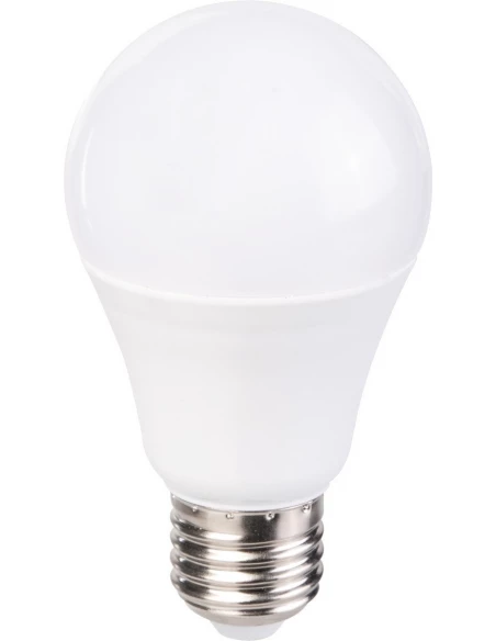 Ampoule LED standard E27 Dimension : O 67 x L. 136 mm - Puissance : 14 / 100 - Lumen : 1521