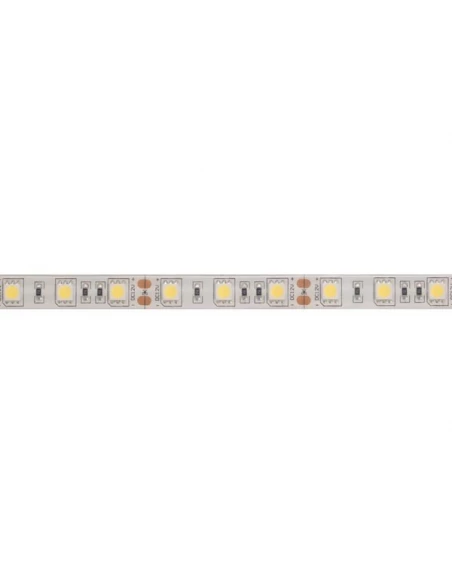 Flexible led - blanc froid - 300 leds - 5 m - 12 v