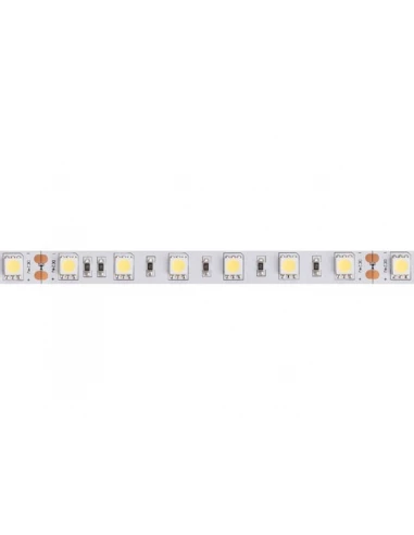 Flexible led - blanc froid - 300 leds - 5 m - 24 v