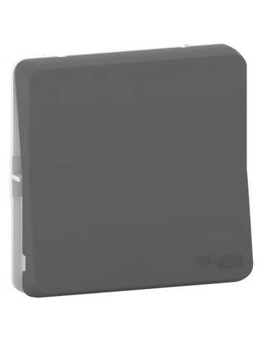 Interrupteur Mureva Gris Composable Étanchéité et modularité IP55 - SCHNEIDER ELECTRIC