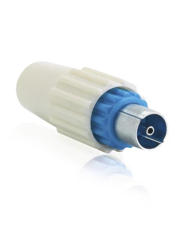 Fiche tv femelle bleue vif200