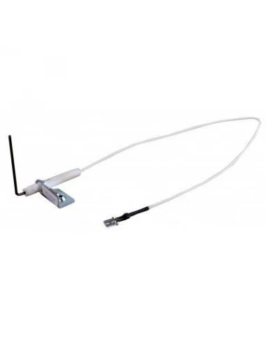 Electrode ionisation 61303302