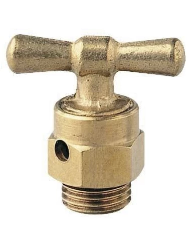 Robinet purgeur n210s 8x13