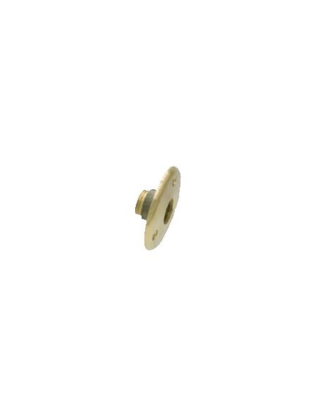Applique traversée de cloison pour robinetterie laiton brut femelle 1/2 - WATTS