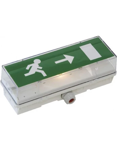 Bloc Autonome d'éclairage de Sécurité (BAES) STD 65 C décrochable LUM10102 - Eaton