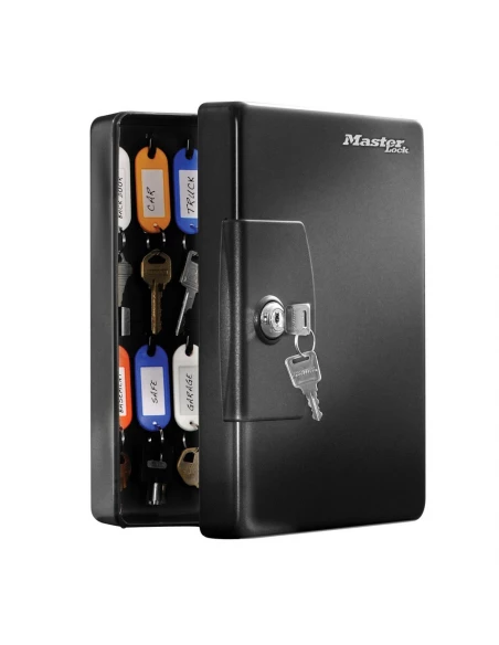 Armoire à clés 25 places acier noir - MASTER LOCK